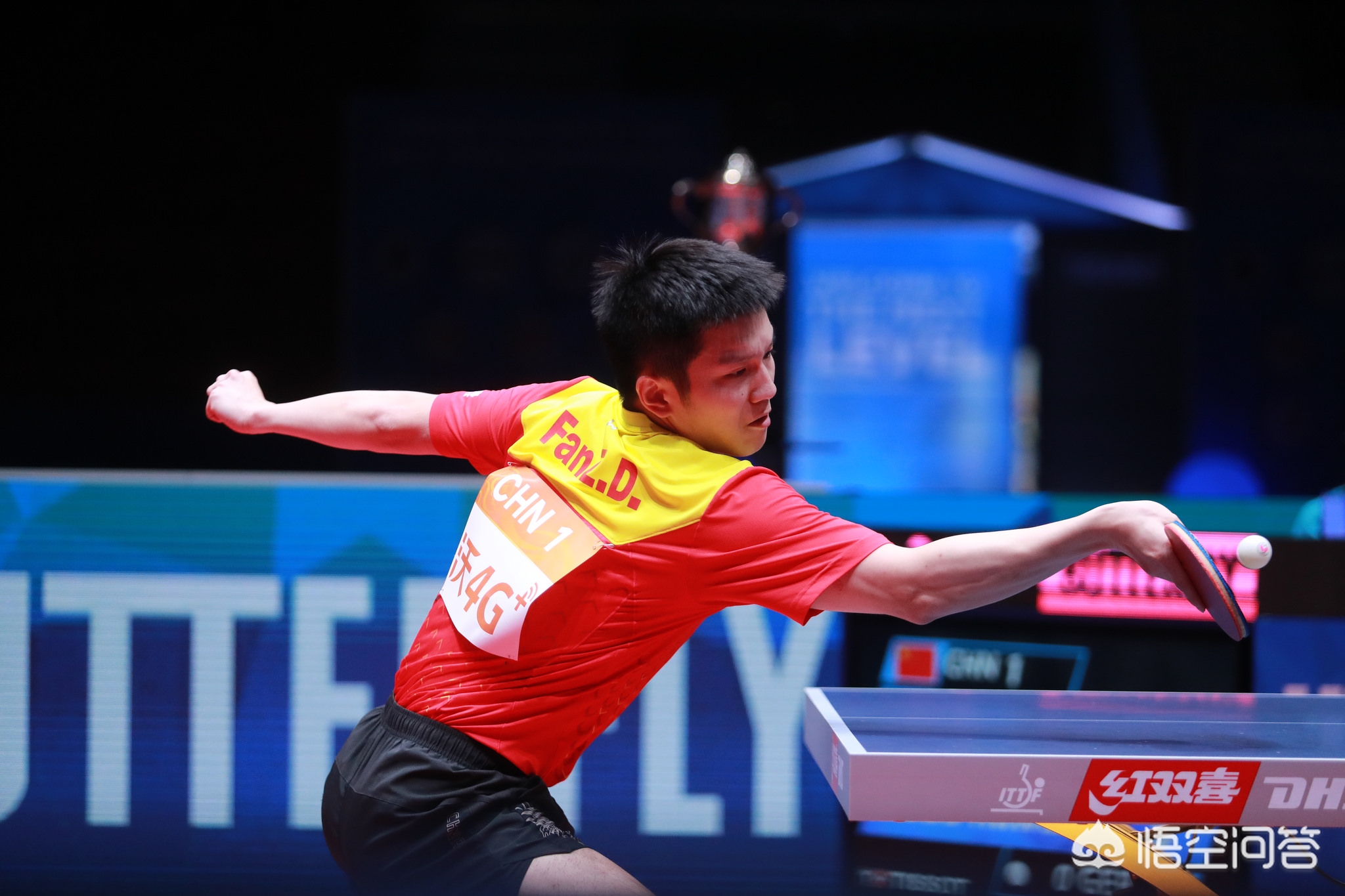 的粉丝增长 的粉丝增长