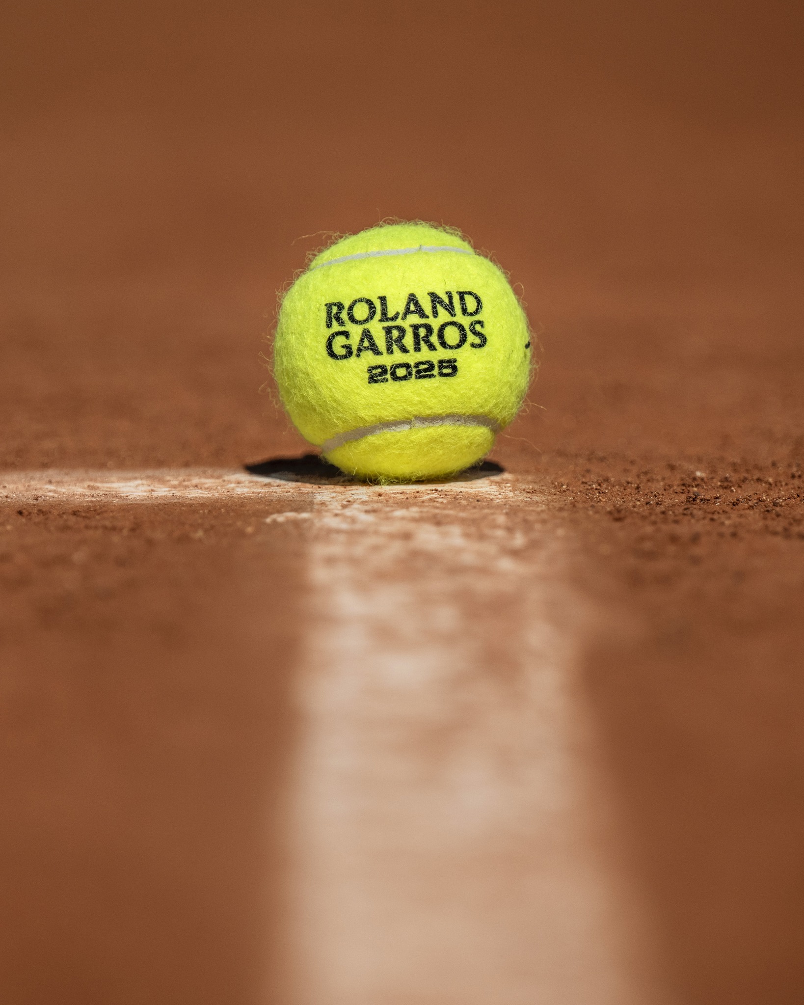 会费和分期 会费和分期